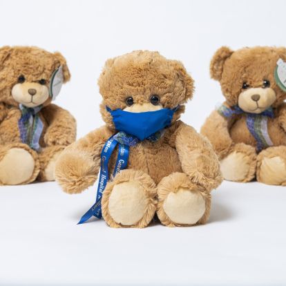 image of 2020 Teddy Bear